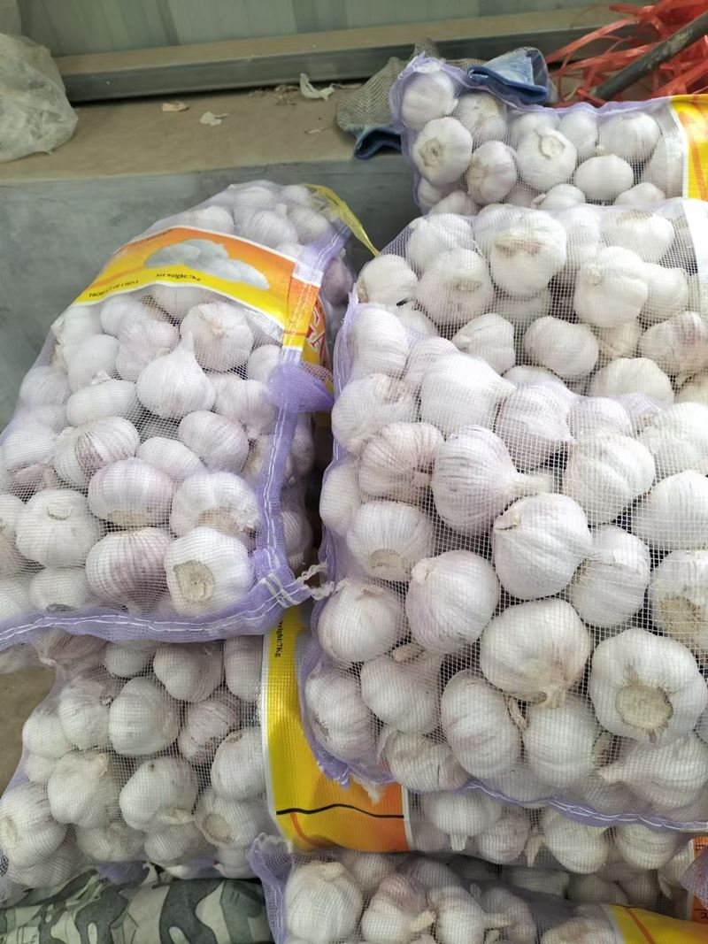 Bawang putih dalam tas