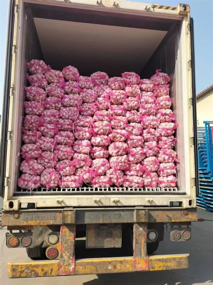 Bawang bawang putih campuran yang bagus