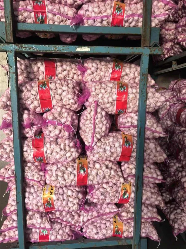 7f37216d3a292b9ee2d37175122a0e7 7f37216d3a292b9ee2d37175122a0e7