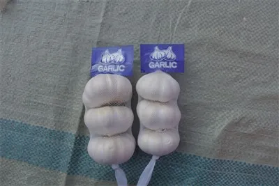 Bawang Putih Mentah Segar