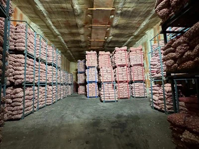 Bawang Putih dalam Penyimpanan Dingin