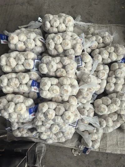 Bawang bawang putih di tas jaring besar