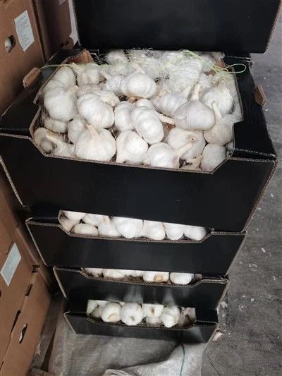 Bawang Putih Kemasan Berkualitas Tinggi