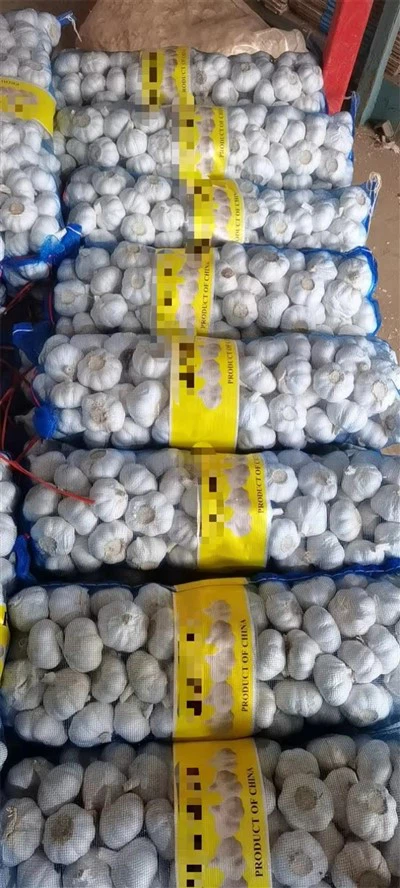 Paket Besar Bawang Putih