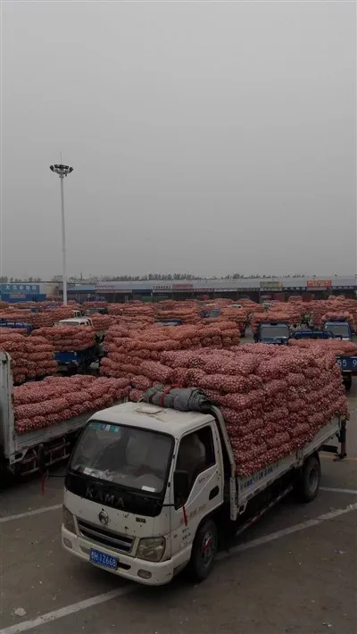 Bawang Putih Dari Pasar