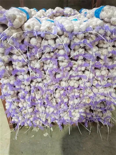 Sekantong Kecil Bawang Putih